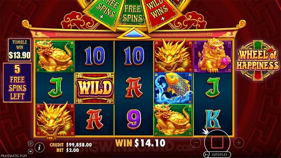 Beginner's Guide to Live Casino